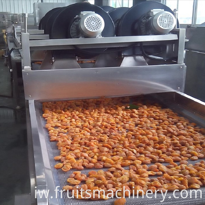 Provided Automatic food fruit vegetable food dehydrator